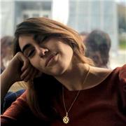 Impartisco lezioni di latino base e aiuto compito